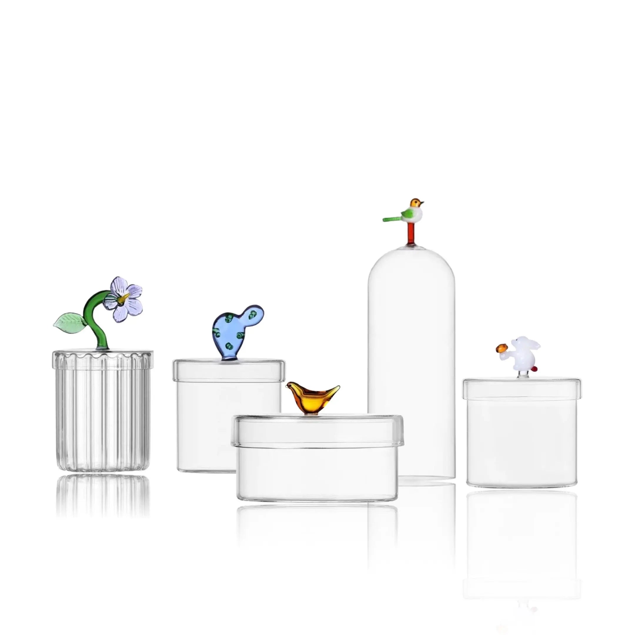 Glass boxes X KLUSIVE STORE