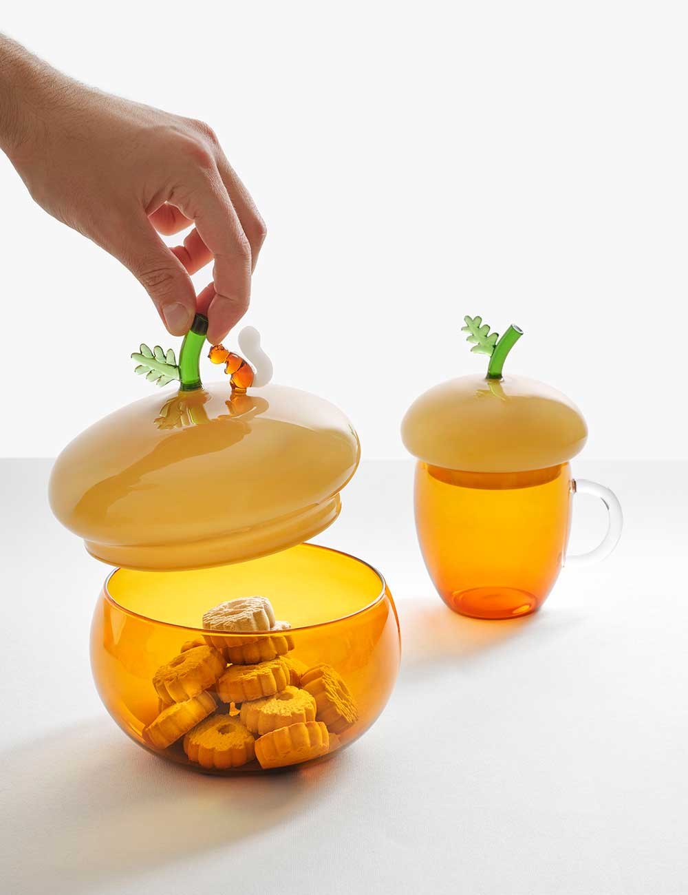 Acorn Glass Box