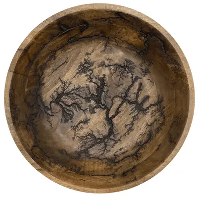 Electric Mango wood Bowl By Room