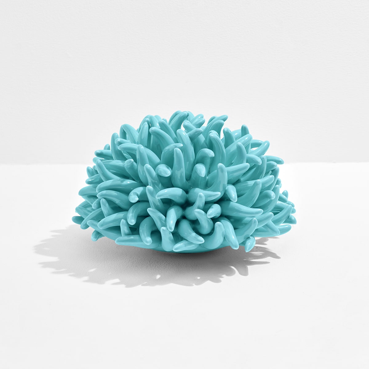 Anemone Decor