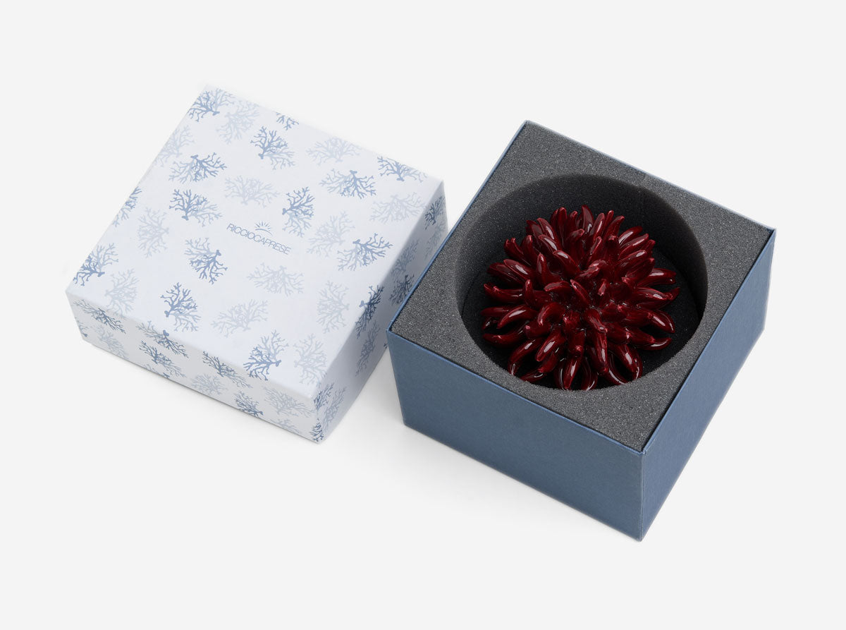 Anemone Decor