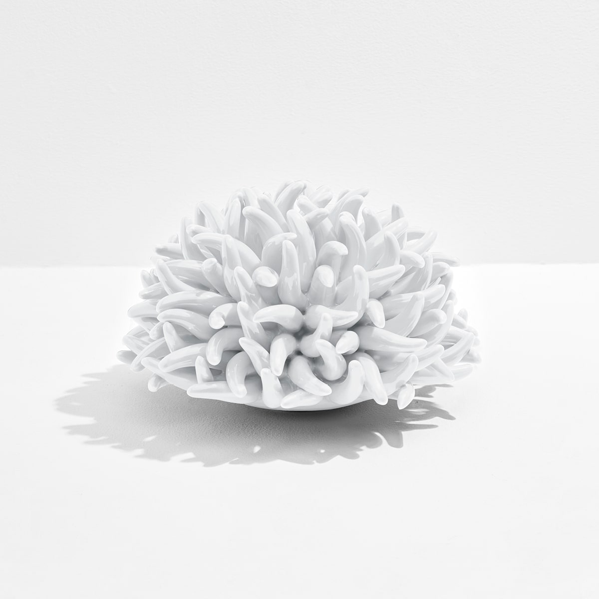 Anemone Decor