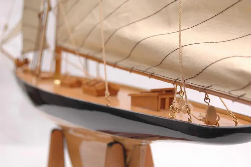 America's Cup Columbia 1901 X KLUSIVE STORE