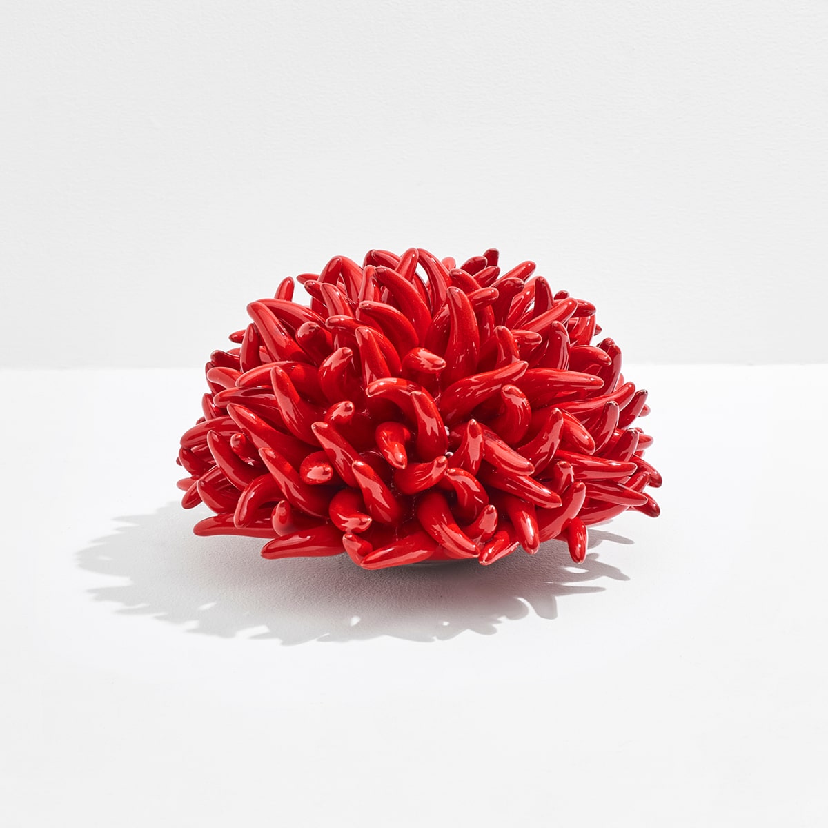 Anemone Decor