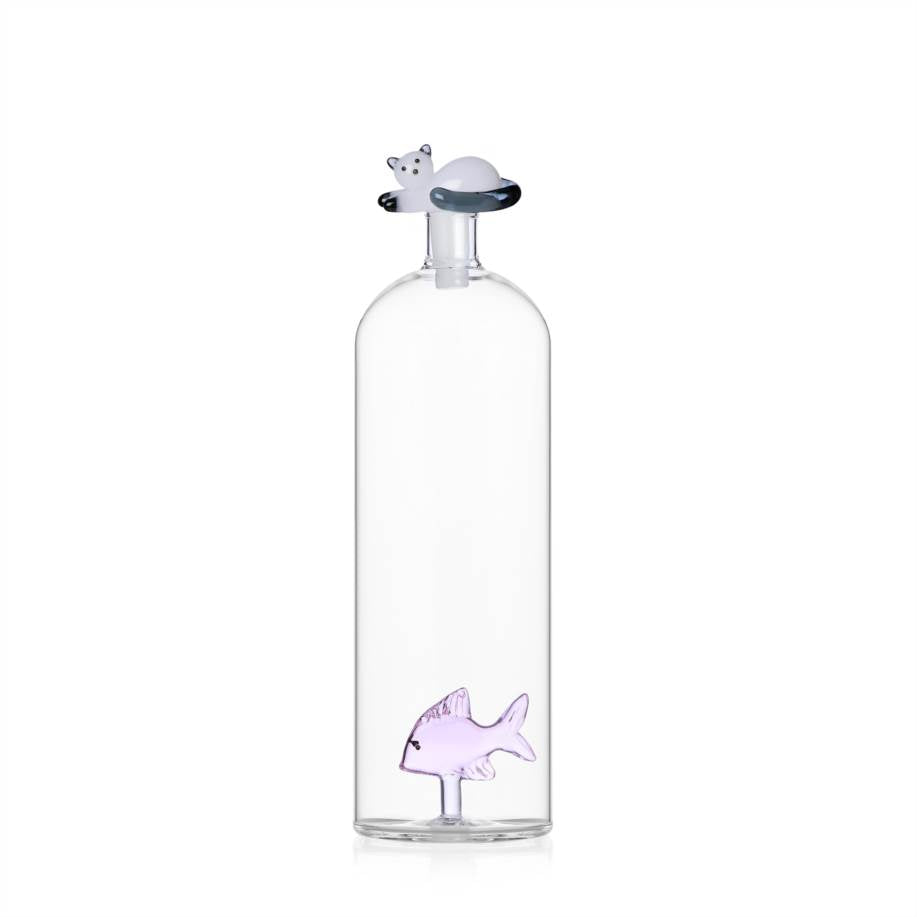 Glass Bottles with lid