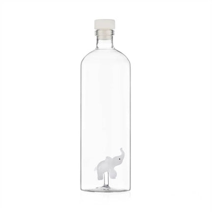 Glass Bottles with lid