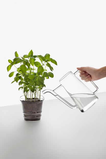 BOBOLI Glass Watering Jug