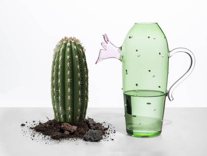 Desert Plants Jugs