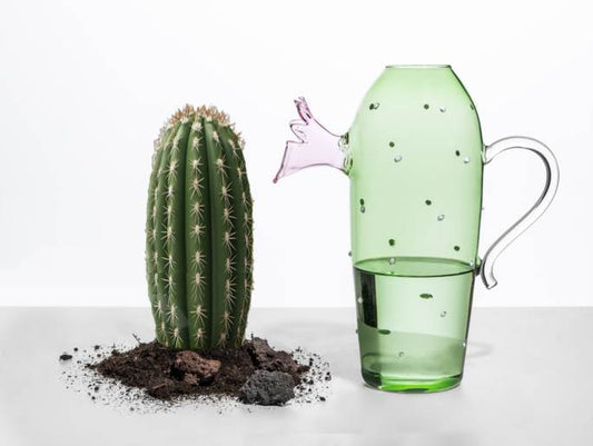 Desert Plants Jugs
