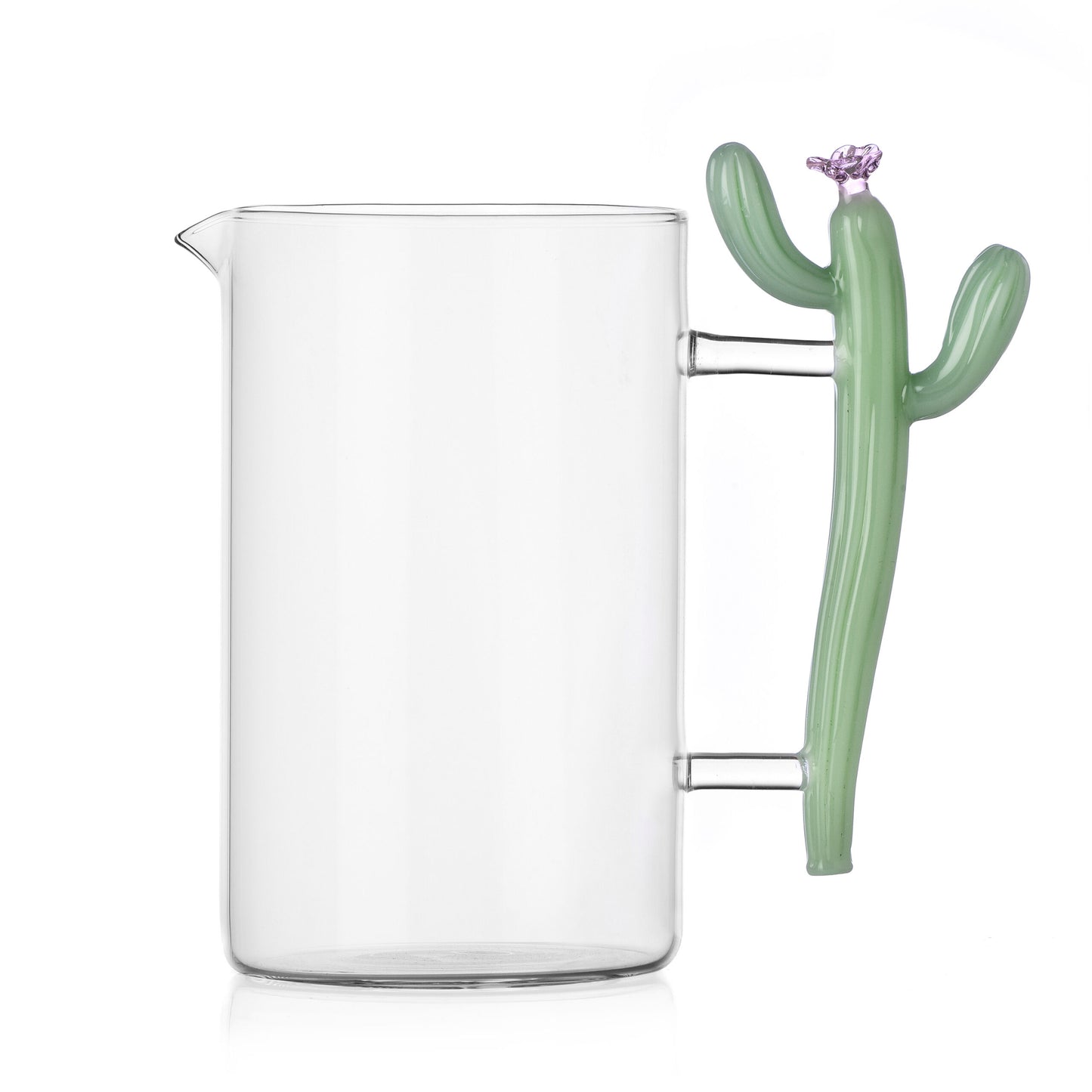 Desert Plants Jug