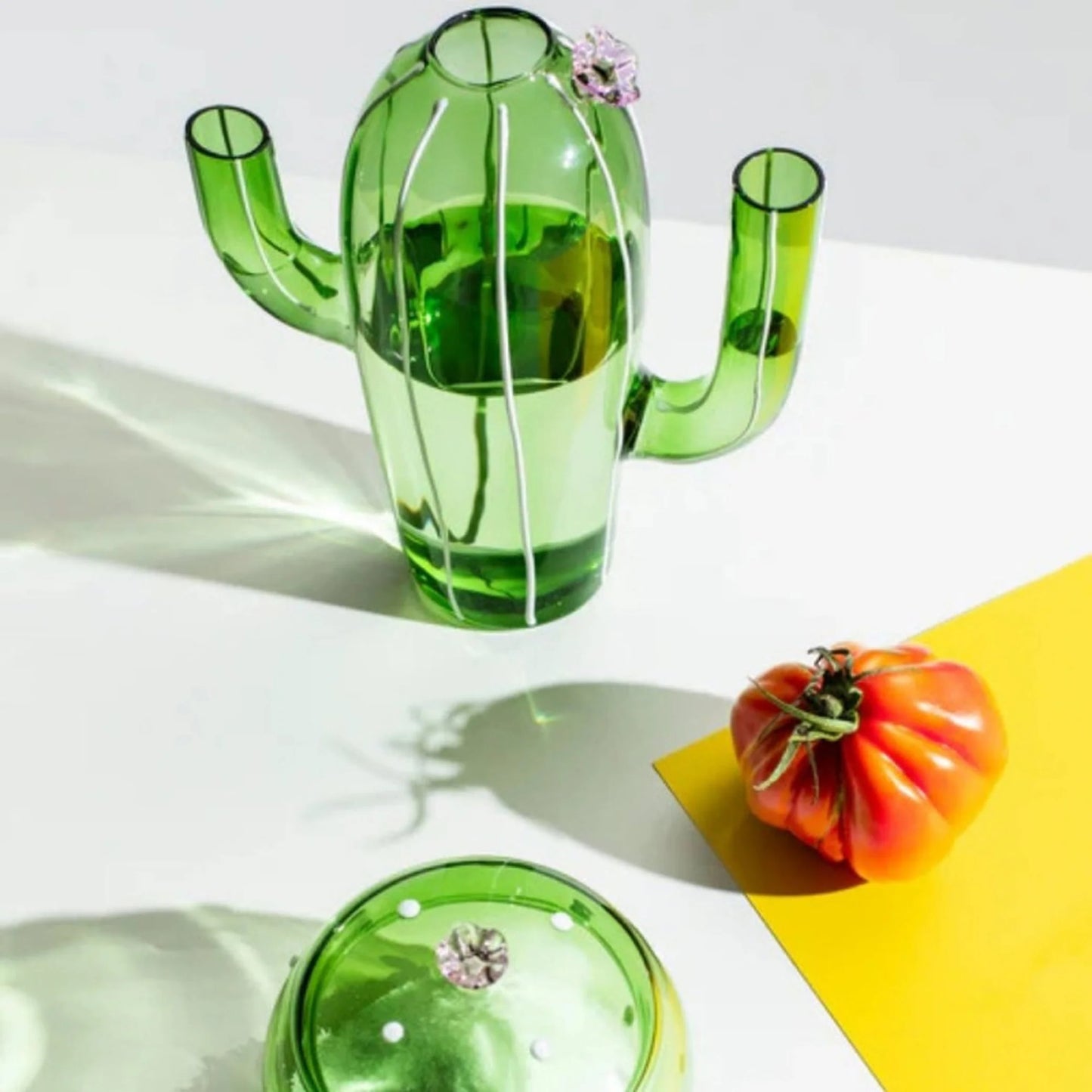 Desert Plants Jug