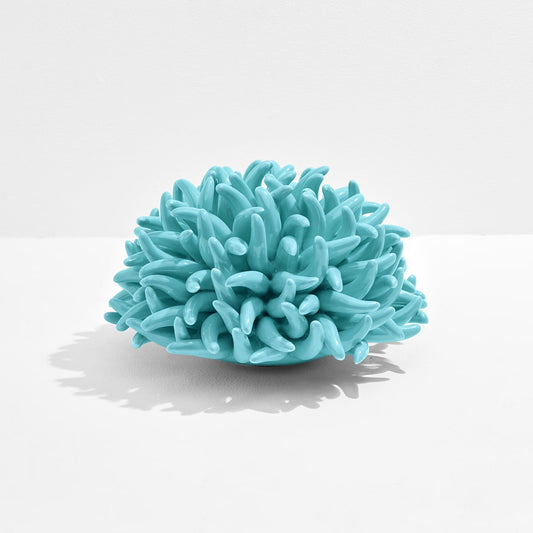 Anemone Decor