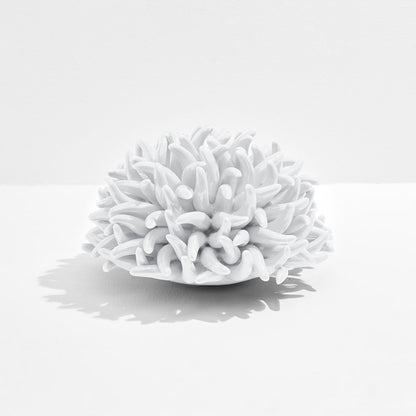 Anemone Decor