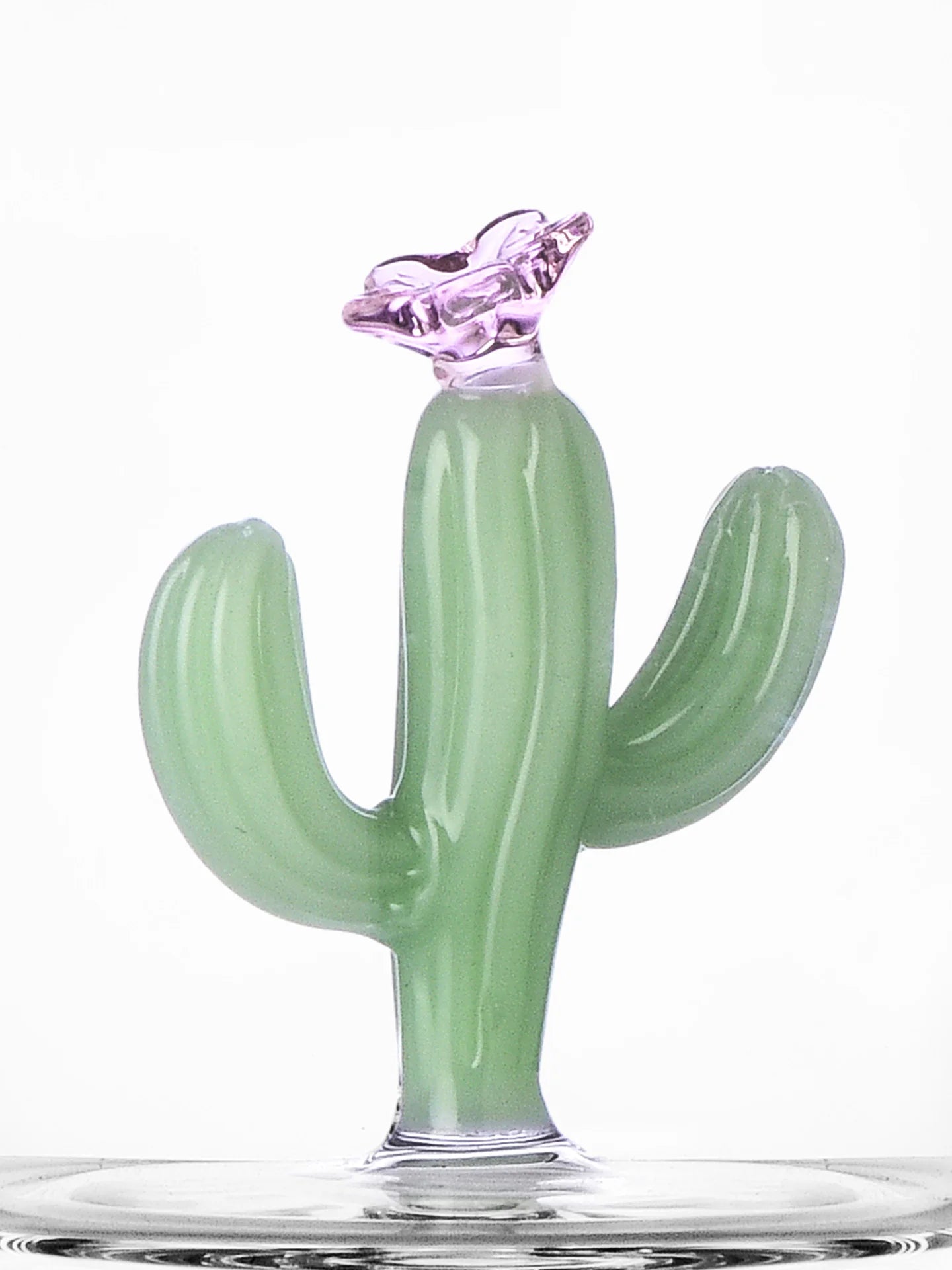 Desert Plant Tumblers Matt Green [set of 6]