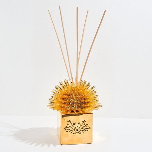 Lady Capri 100ml Diffuser